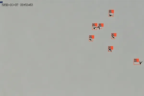 How Airports Can Build a Smart Bird Strike Prevention Loop